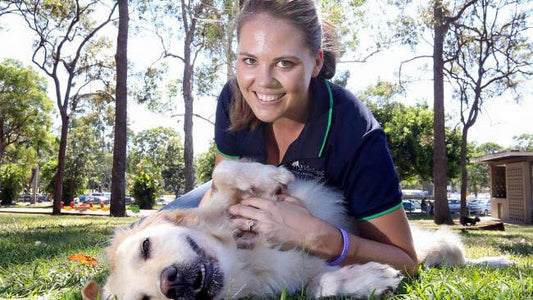 Whats is Acupuncture and How can it help my Animal?