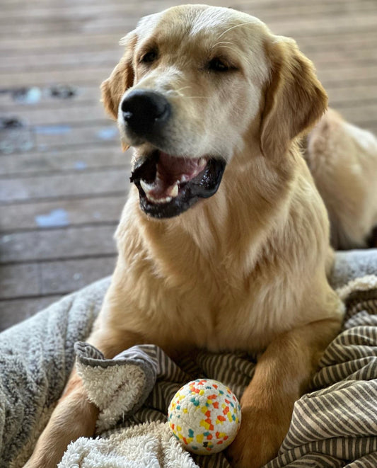 Furmilial Ball - The famous Wilson
