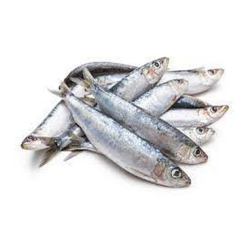 Fresh Sardines 1kg Pick Up Only