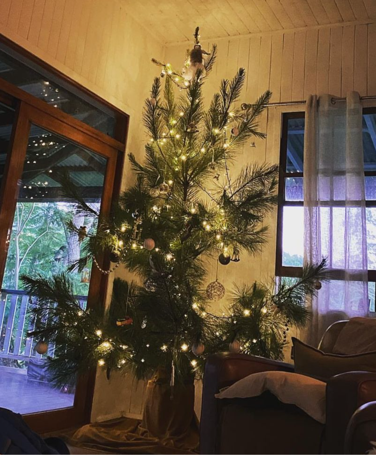 Pre order Christmas Trees