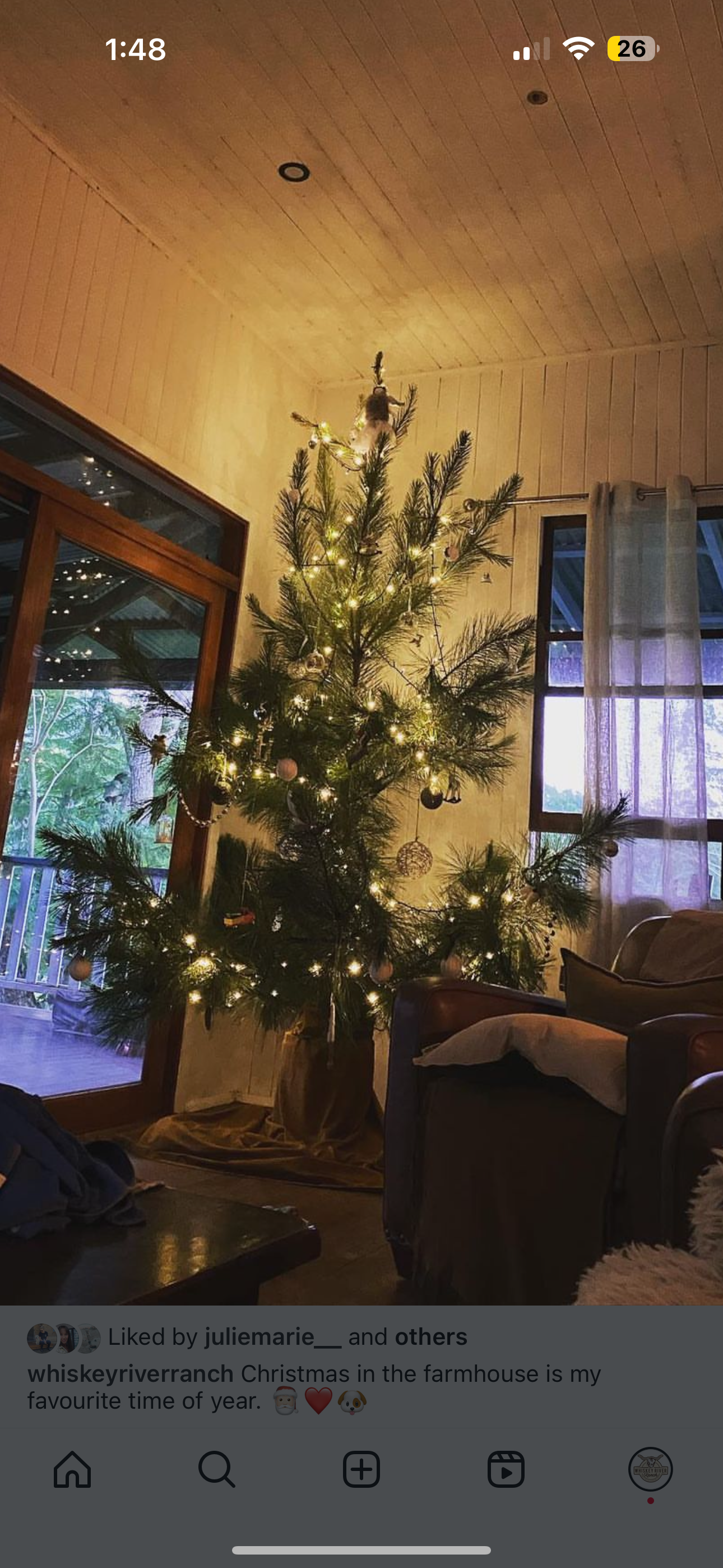 Pre order Christmas Trees