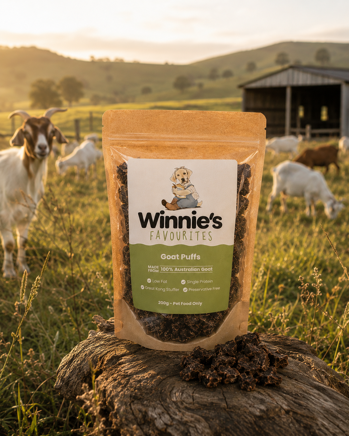 Winnies Favourites Goat