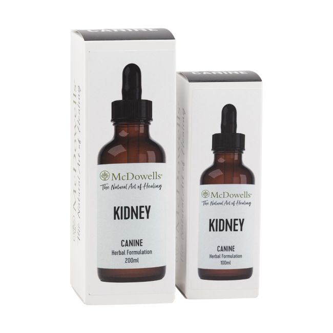 Animal Botanical™ Kidney — Traditional Herbal Support for Urinary & Kidney Health 100ml
