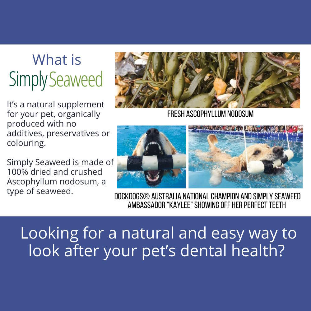 Simply Seaweed - ascophyllum nodosum