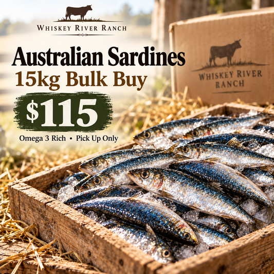 Sardines BULK BUY