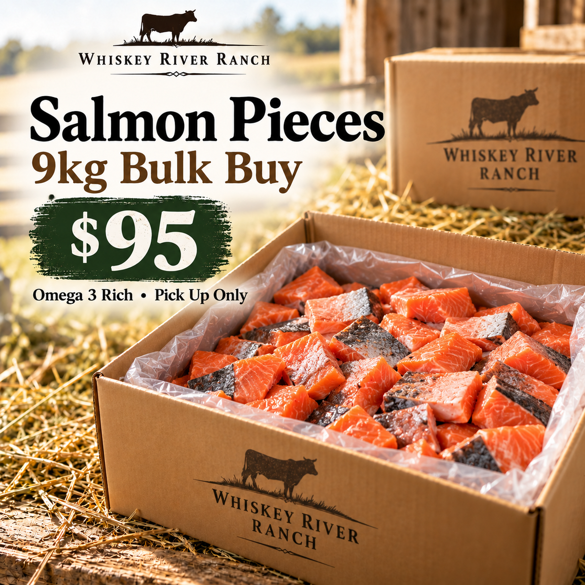 9kg Salmon Pieces