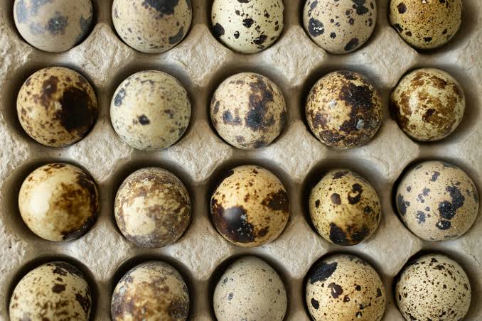 Quail Eggs