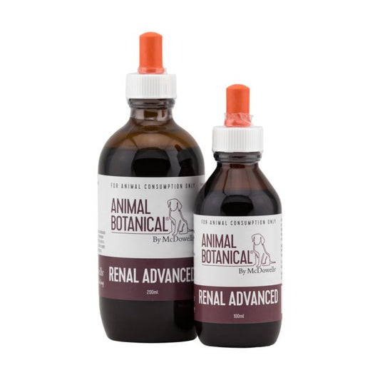Animal Botanicals - Kidney Tonic Dogs