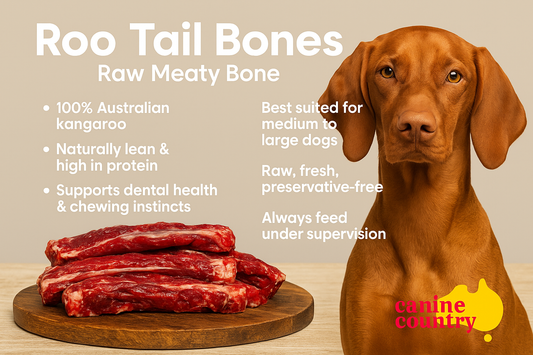 Canine Country Roo Tail Bone